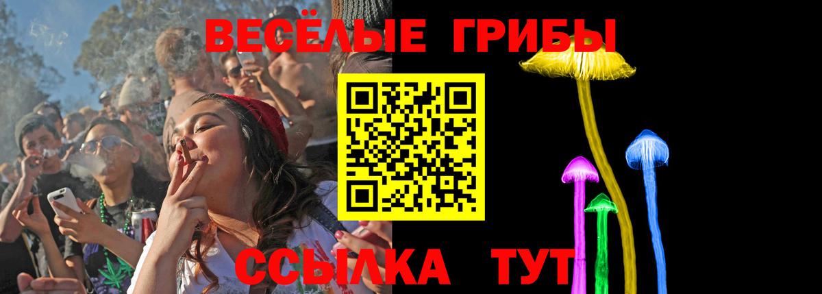 Берёзовский  закладка  Псилоцибиновые грибы MAGIC MUSHROOMS  Вход с VPN  Псилоцибиновые грибы ЛСД 